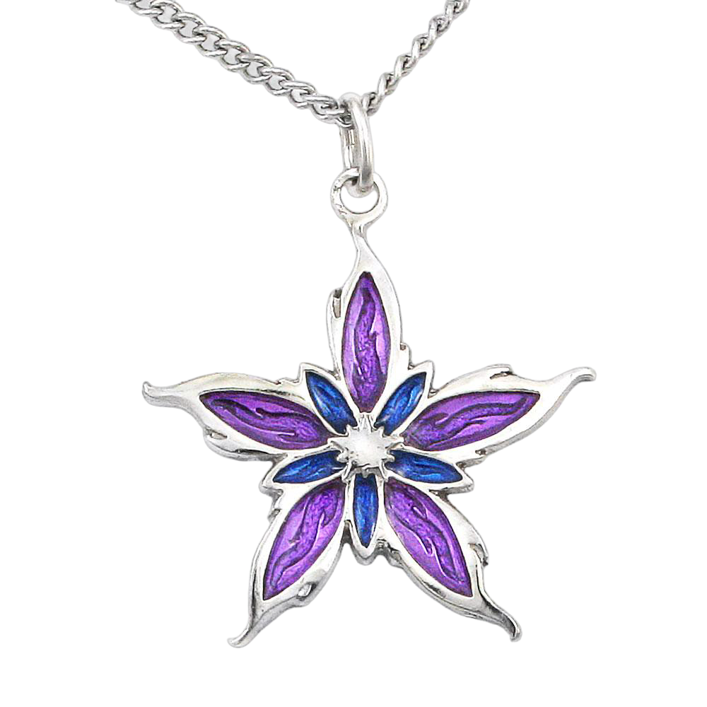 Enameled Nalthis Pendant - Sterling Silver
