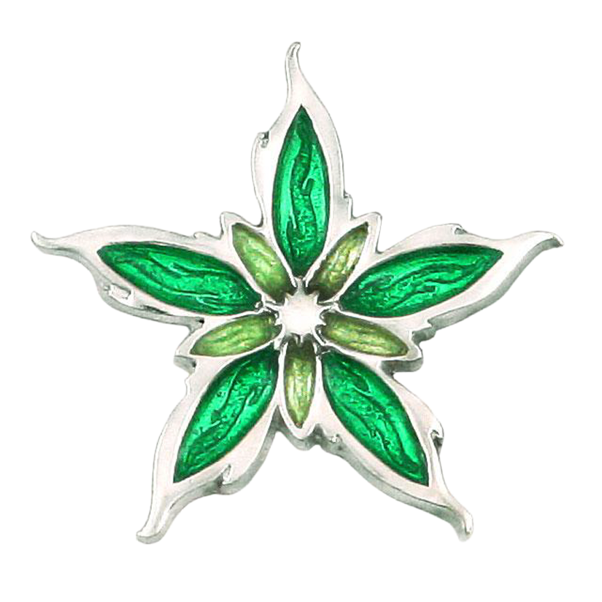 Enameled Nalthis Pin