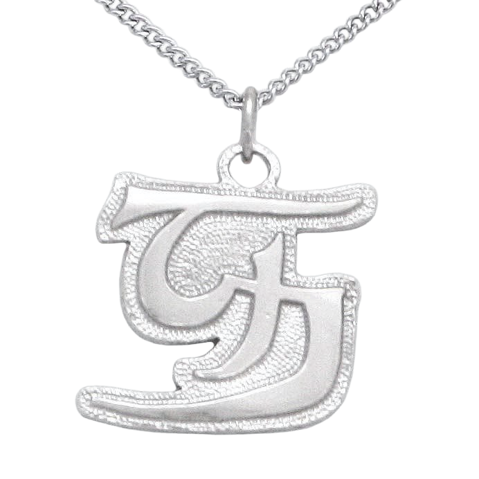 Unsight Ward Medallion