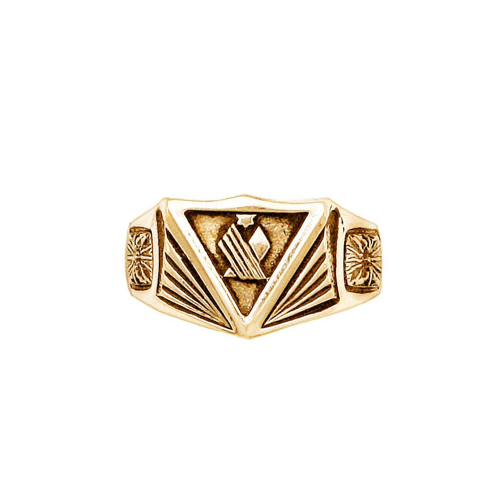 Gold Institute Ring for House Minerva from Pierce Brown's Red