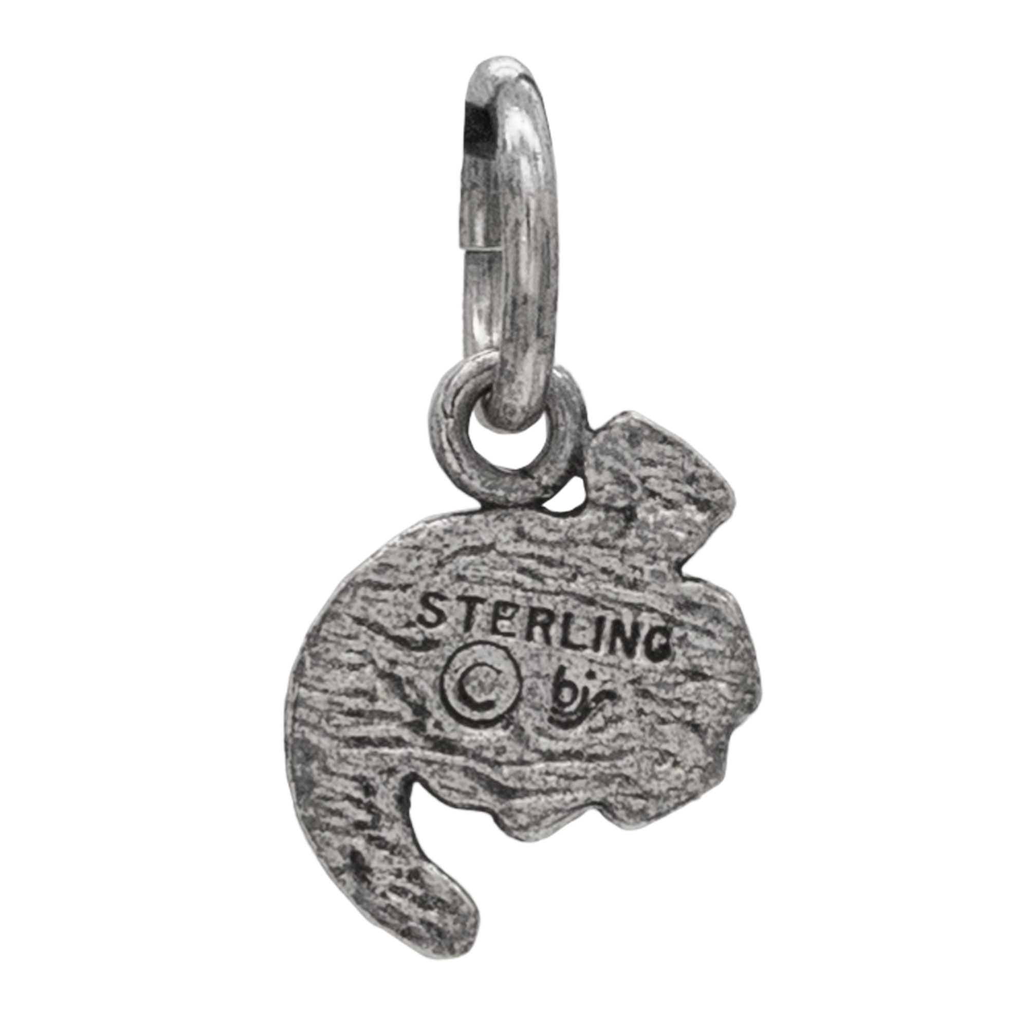 Steel Allomancer Charm