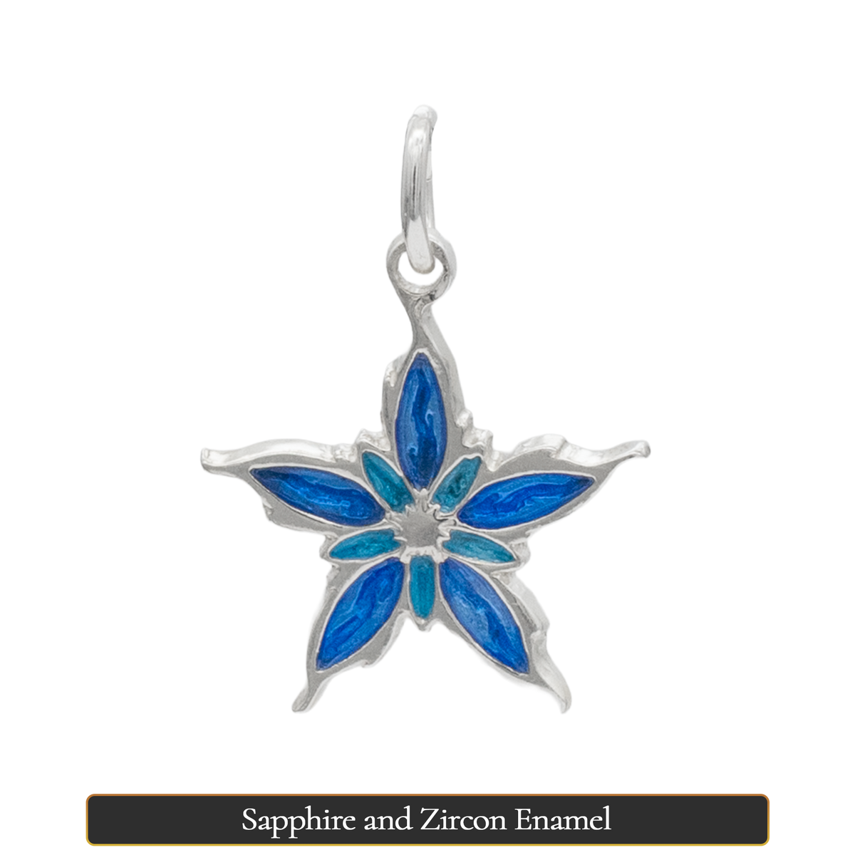 Enameled Nalthis Charm