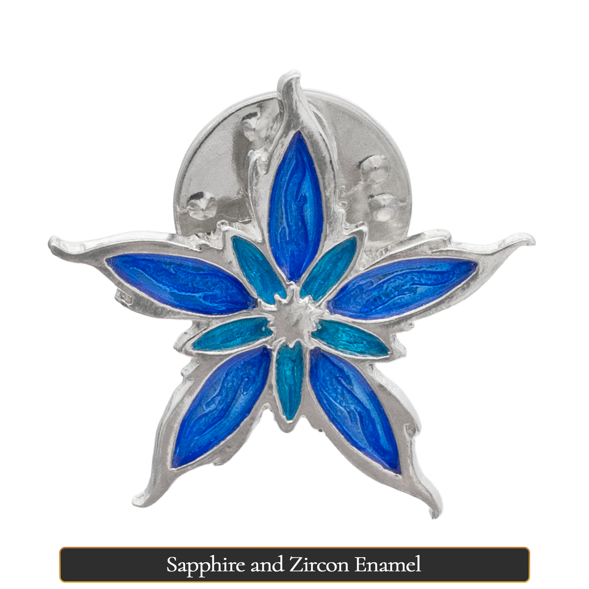 Enameled Nalthis Pin