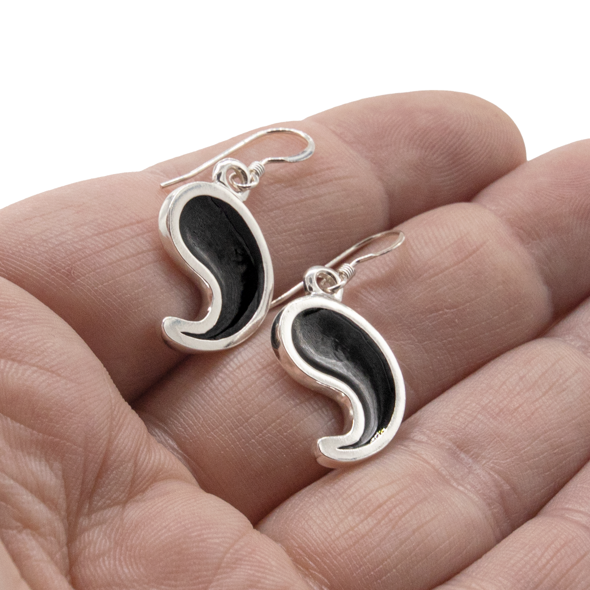 Dragon's Fang Earrings - Enameled Sterling Silver