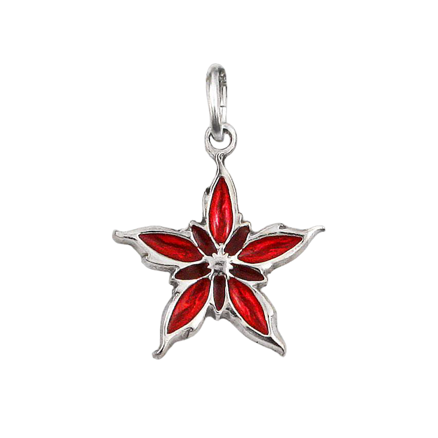 Enameled Nalthis Charm