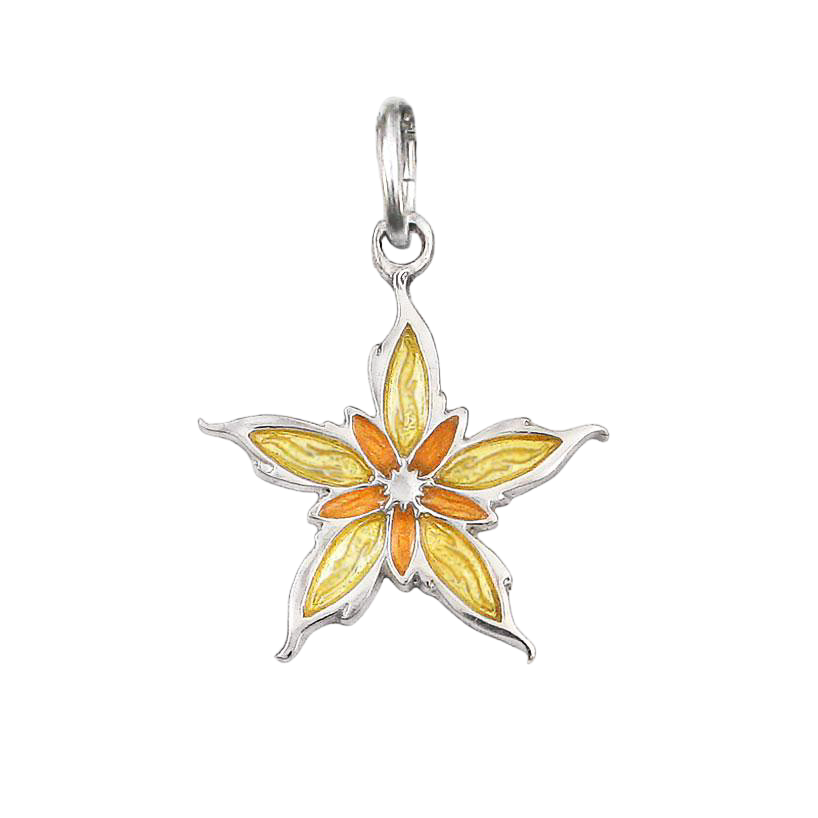 Enameled Nalthis Charm