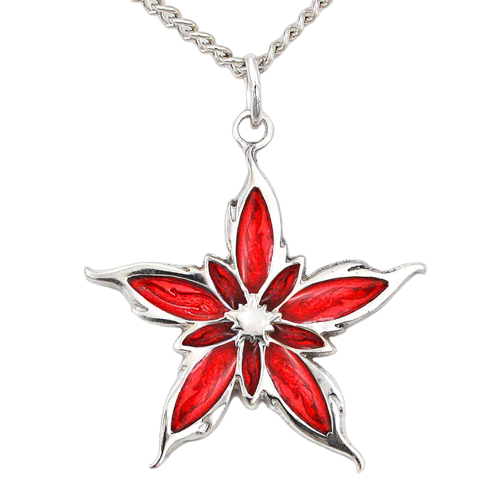 Enameled Nalthis Pendant - Sterling Silver