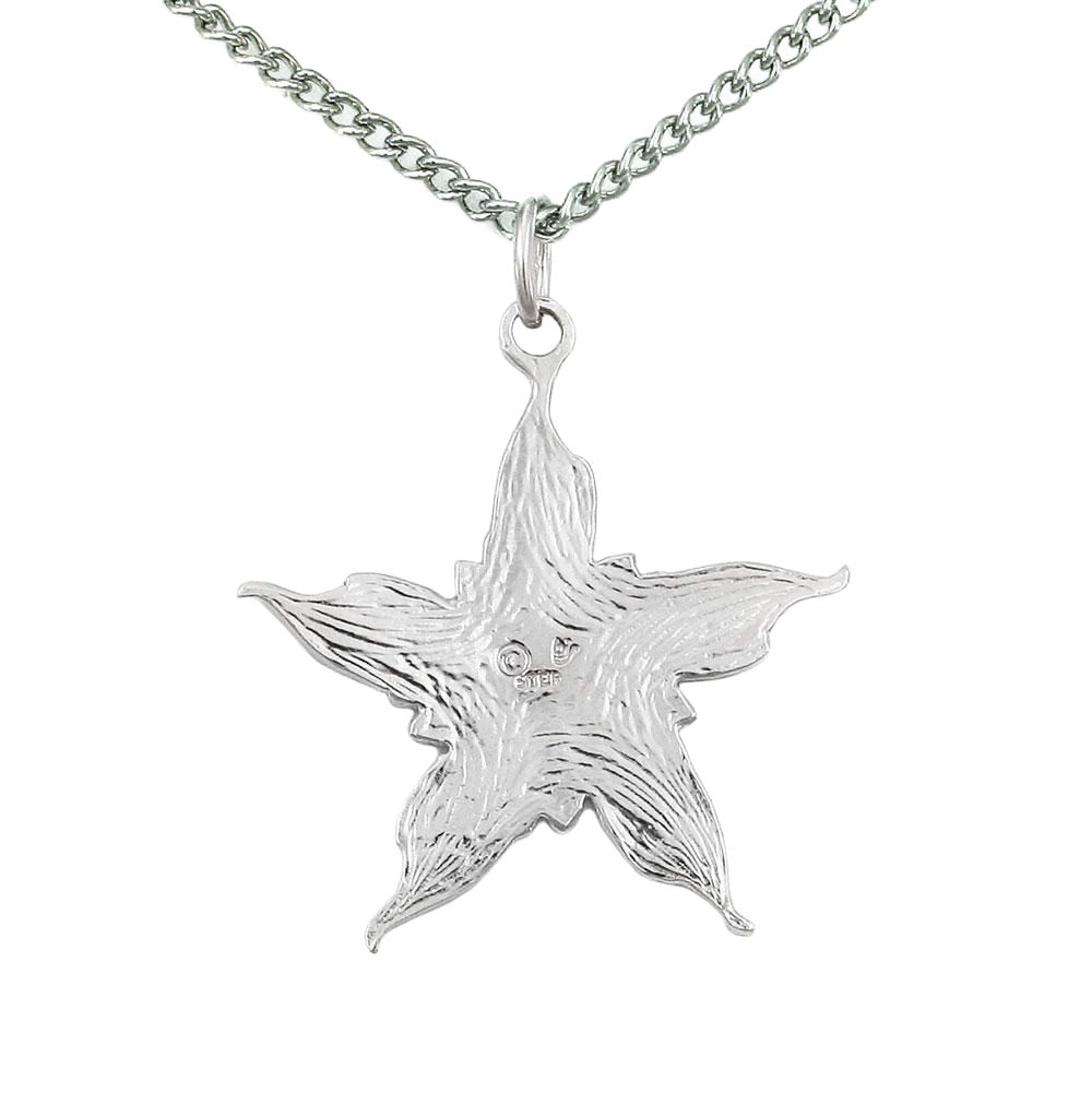 Enameled Nalthis Pendant - Sterling Silver