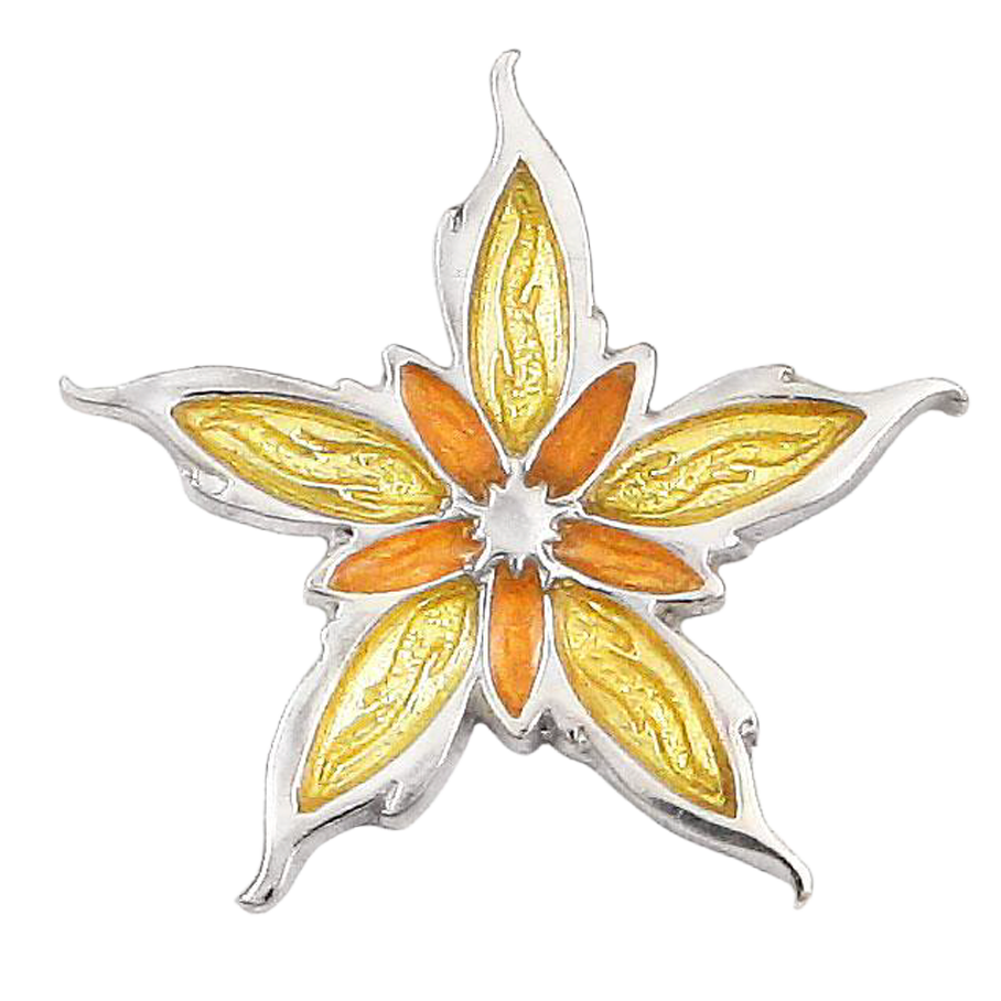 Enameled Nalthis Pin