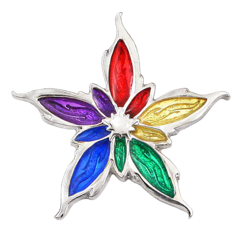 Enameled Nalthis Pin