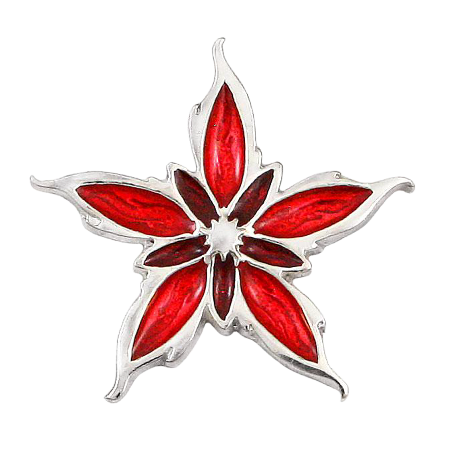 Enameled Nalthis Pin
