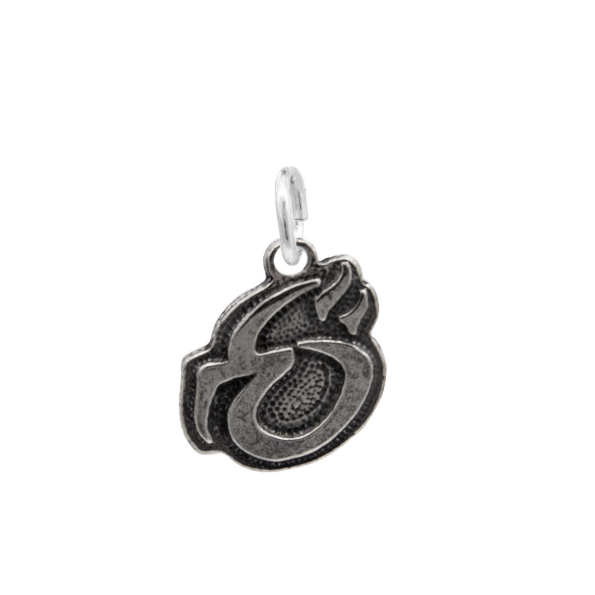 Mind Ward Charm