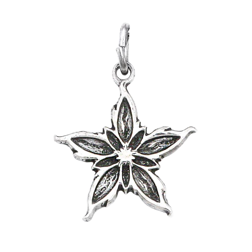 ನಲ್ತಿಸ್ ಮೋಡಿ