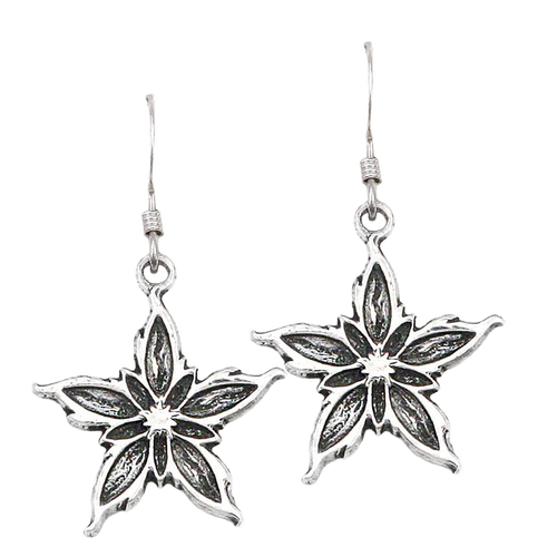 Nalthis Earrings