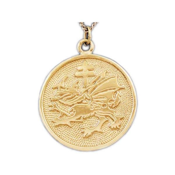 Gold Order of The Dragon Pendant 14K Yellow Gold 24 Gold Plated Curb Chain